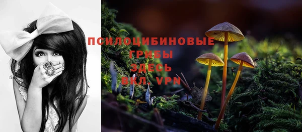 гидра Беломорск